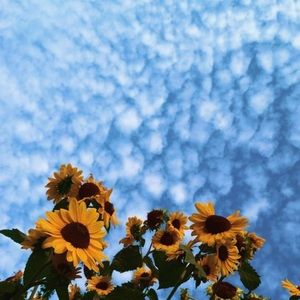 Meet your Posher, Abbie